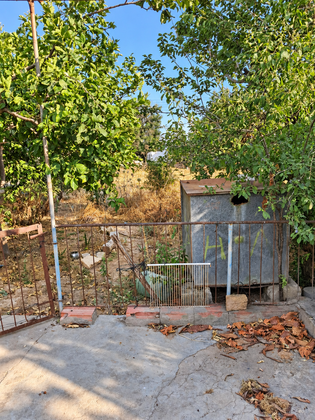 Ziyamet Köyünde Renovasyon Projesi - Görsel 4